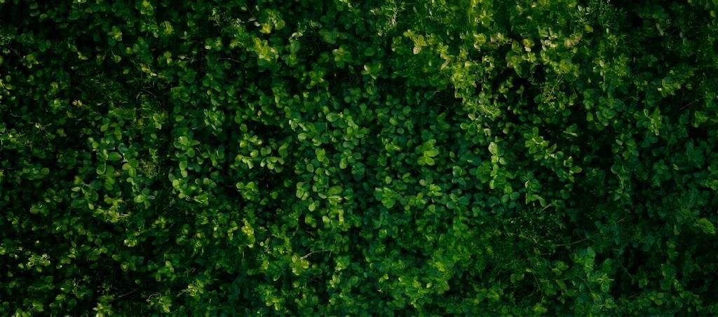 Sustainability